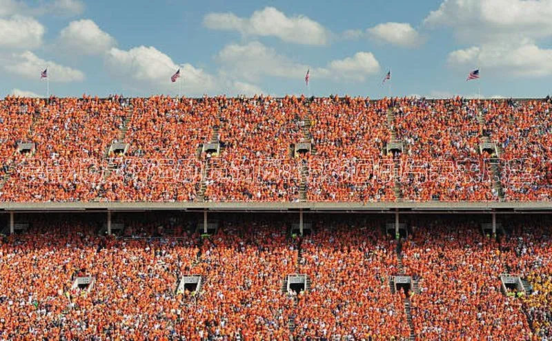 BETVLCTOR伟德在线雷柏科技吴静博足球运动员简历: 精彩回顾与未来展望