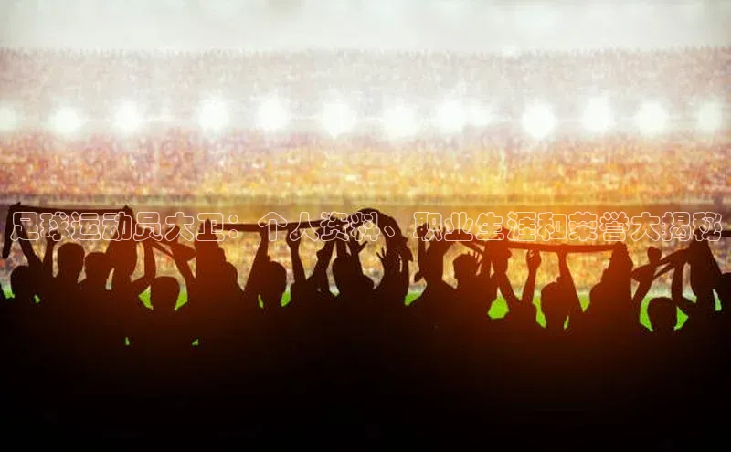 bevictor伟德官网登录元隆雅图足球运动员大卫：个人资料、职业生涯和荣誉大揭秘