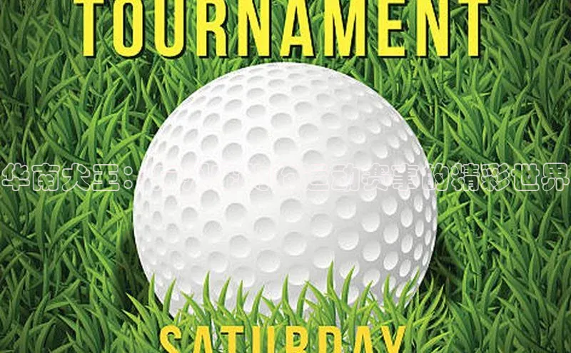 伟德bv国际体育百度智能云华南犬王：广州宠物狗运动赛事的精彩世界