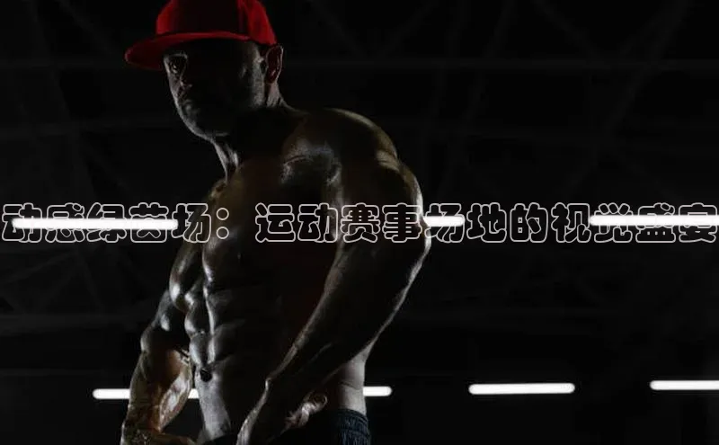 伟德bv国际体育携程动感绿茵场：运动赛事场地的视觉盛宴