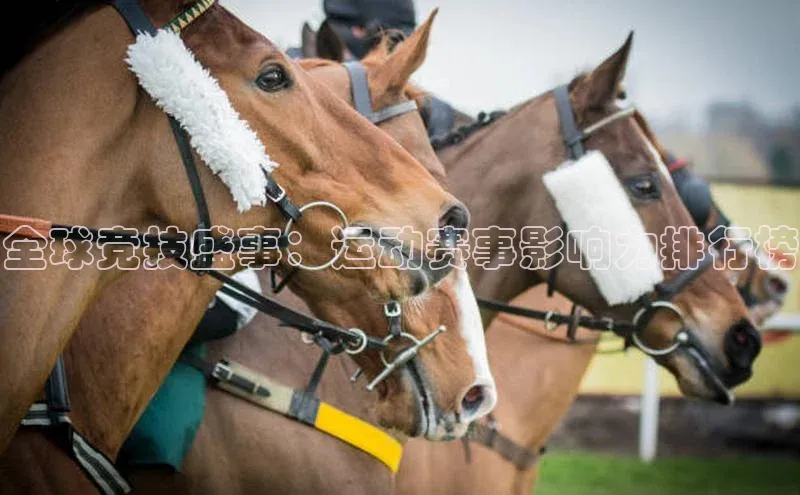 BV伟德国际官方网站路畅科技全球竞技盛事：运动赛事影响力排行榜