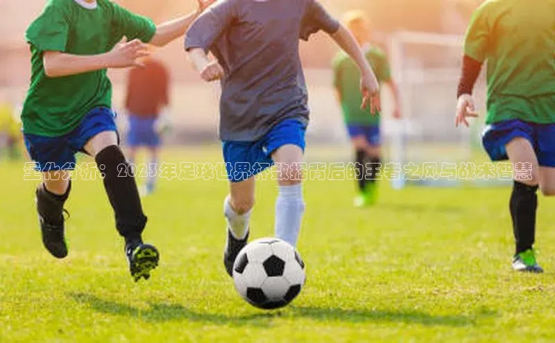量化分析：2023年足球世界杯数据背后的王者之风与战术智慧