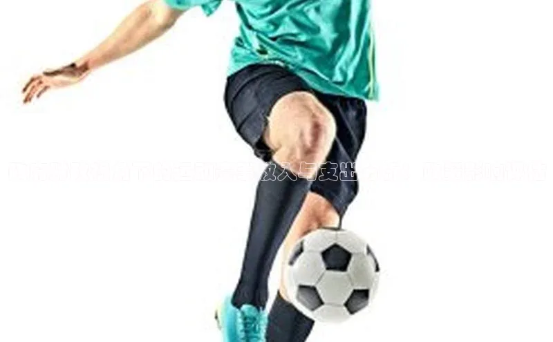 政府财政视角下的运动赛事收入与支出分析：政策影响评估