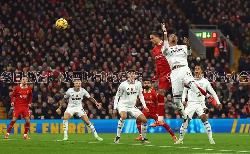 冬日激情：冰雪运动的盛宴——冬季雪地运动会