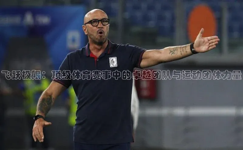 飞跃极限：顶级体育赛事中的卓越团队与运动团体力量