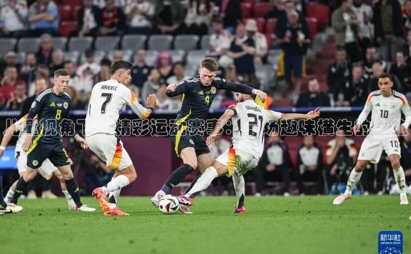 伟德bv1946官网首页