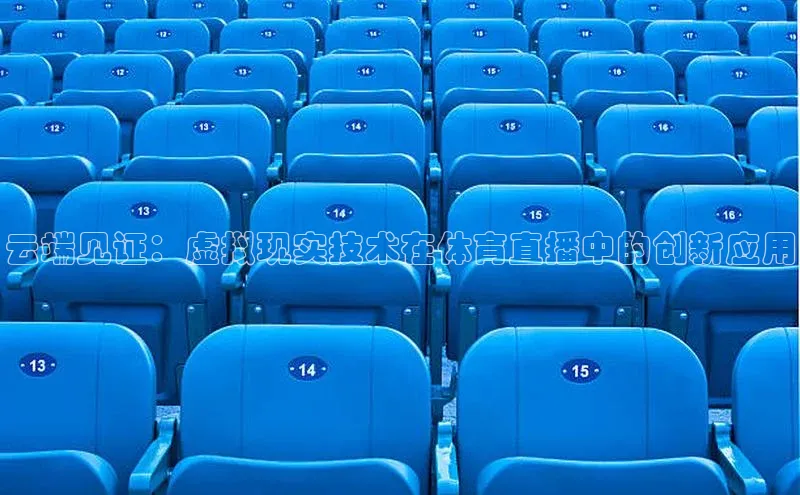 云端见证：虚拟现实技术在体育直播中的创新应用