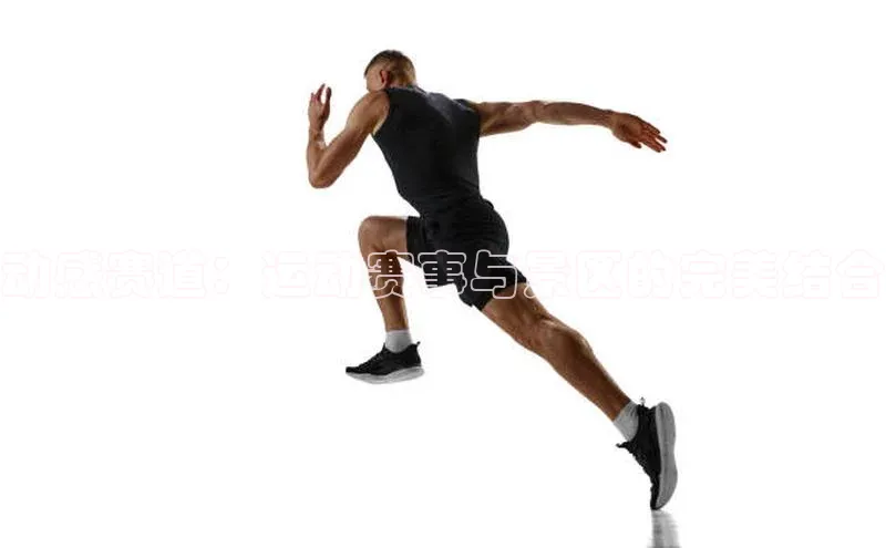 伟德betvlctor体育官网