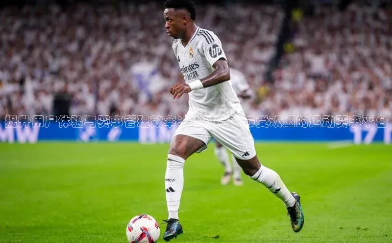 提升用户体验与赛事管理效率：探讨当下最受欢迎的运动赛事平台