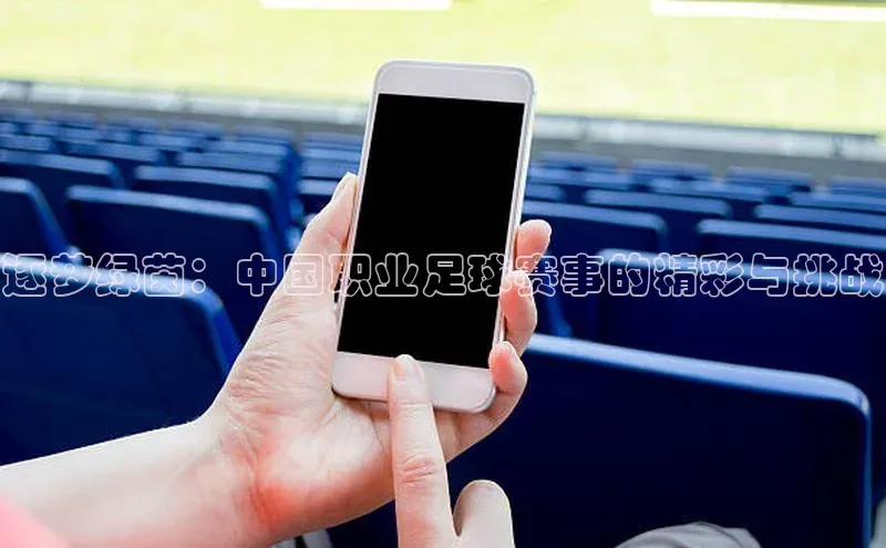 逐梦绿茵：中国职业足球赛事的精彩与挑战
