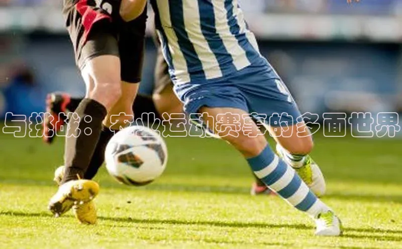 与挑战：农业运动赛事的多面世界