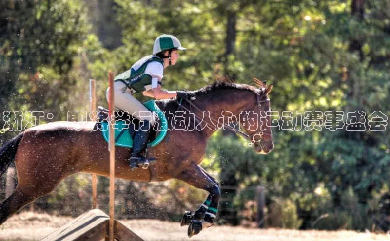 浙江：即将举行激动人心的运动赛事盛会