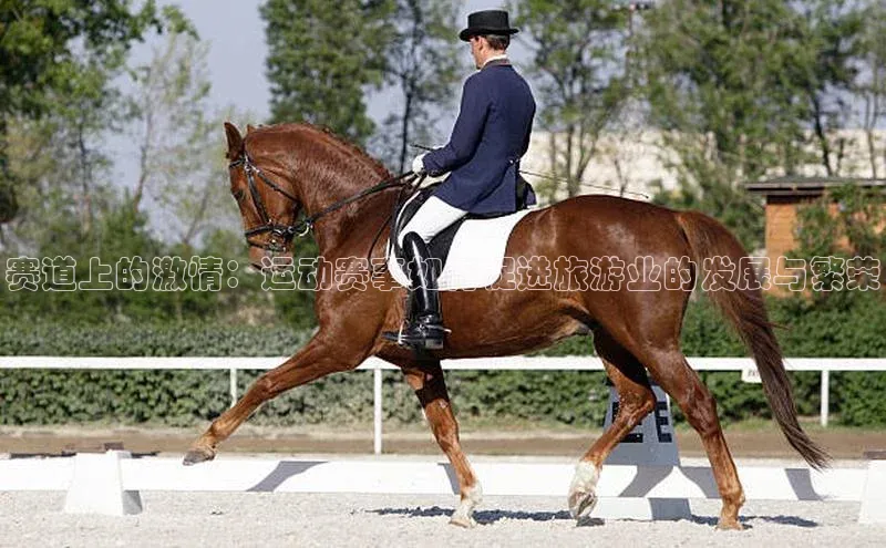 BETVlCTOR最新地址