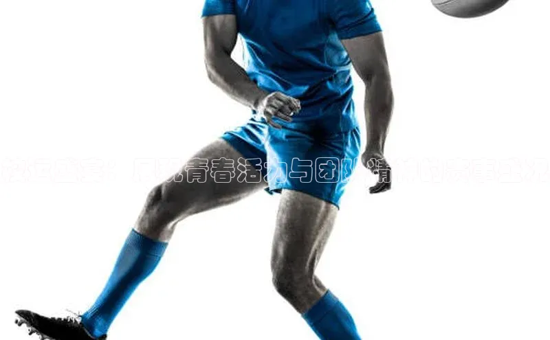 BV伟德国际官方网站