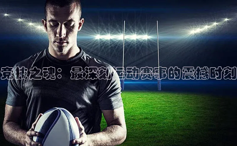 伟德BETVLCTOR网页版