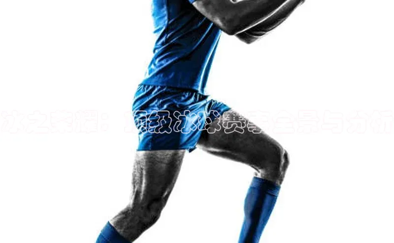 bevitor伟德国际1946官网