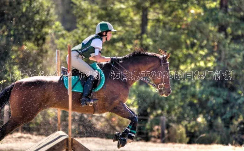 内蒙古运动赛事蓝图：迈向未来2025的目标与计划