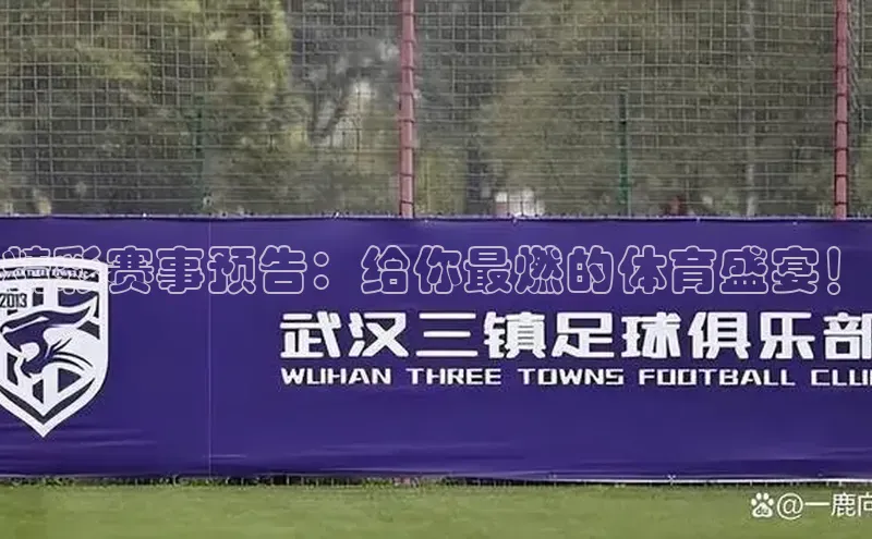 伟德betvictor网页版